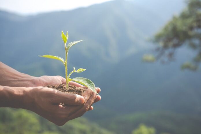 Día Mundial de la Educación Ambiental: 5 consejos para reducir el consumo de electricidad