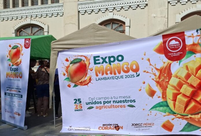 Lambayeque: Logran vender 15 toneladas de mango en mercados itinerantes