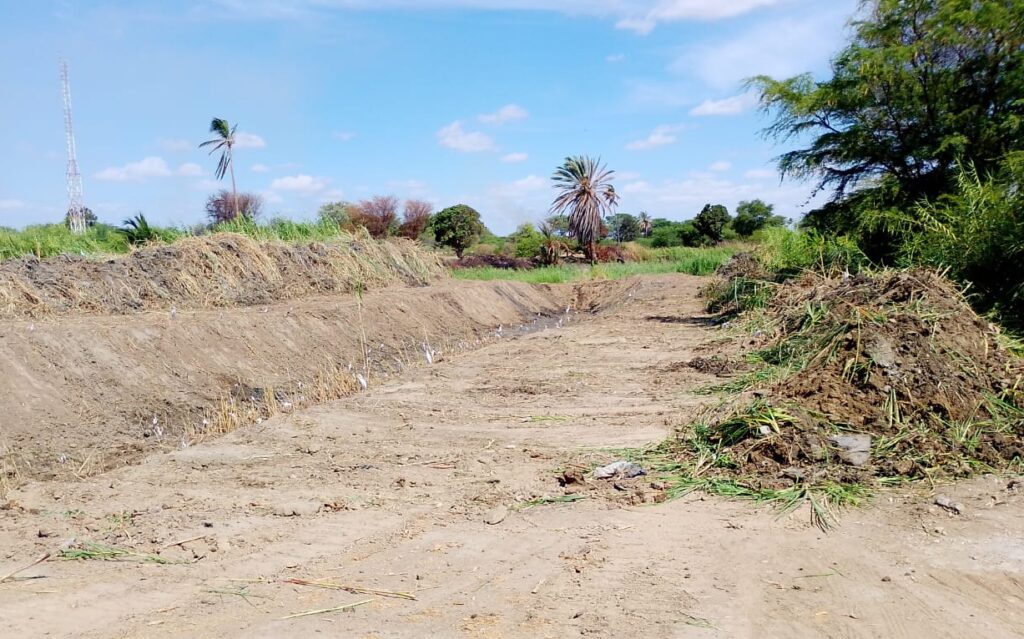 Piura: realizan limpieza en drenes secundarios para prevenir inundaciones de cultivos en Sechura