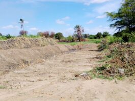 Piura: realizan limpieza en drenes secundarios para prevenir inundaciones de cultivos en Sechura Piura: realizan limpieza en drenes secundarios para prevenir inundaciones de cultivos en Sechura