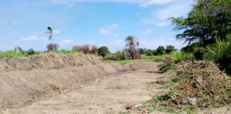 Piura: realizan limpieza en drenes secundarios para prevenir inundaciones de cultivos en Sechura Piura: realizan limpieza en drenes secundarios para prevenir inundaciones de cultivos en Sechura