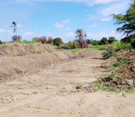Piura: realizan limpieza en drenes secundarios para prevenir inundaciones de cultivos en Sechura Piura: realizan limpieza en drenes secundarios para prevenir inundaciones de cultivos en Sechura