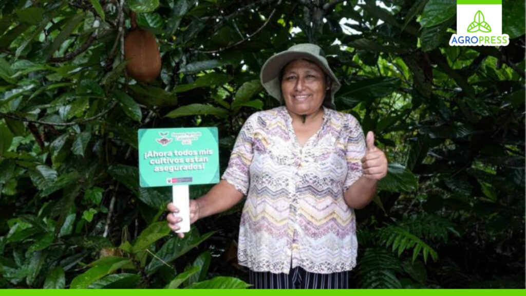 Gobierno activa el seguro agrícola catastrófico para proteger a productores en temporada de lluvias