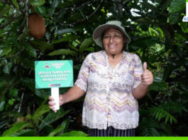 Gobierno activa el seguro agrícola catastrófico para proteger a productores en temporada de lluvias Gobierno activa el seguro agrícola catastrófico para proteger a productores en temporada de lluvias