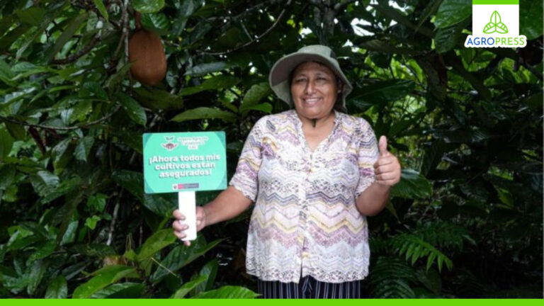 Gobierno activa el seguro agrícola catastrófico para proteger a productores en temporada de lluvias