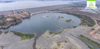 Estado de emergencia en Piura: Gobierno extiende medidas por déficit hídrico Estado de emergencia en Piura: Gobierno extiende medidas por déficit hídrico