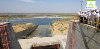 Piura: agricultores exigen nueva batimetría en Poechos para salvar campaña agrícola Piura: agricultores exigen nueva batimetría en Poechos para salvar campaña agrícola