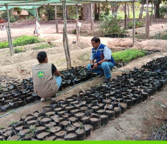 Piura: Gobierno impulsa la restauración del bosque seco en Sullana Piura: Gobierno impulsa la restauración del bosque seco en Sullana