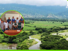 Piura: coordinan el mantenimiento de canales para la campaña grande de arroz en valle del Chira Piura: coordinan el mantenimiento de canales para la campaña grande de arroz en valle del Chira