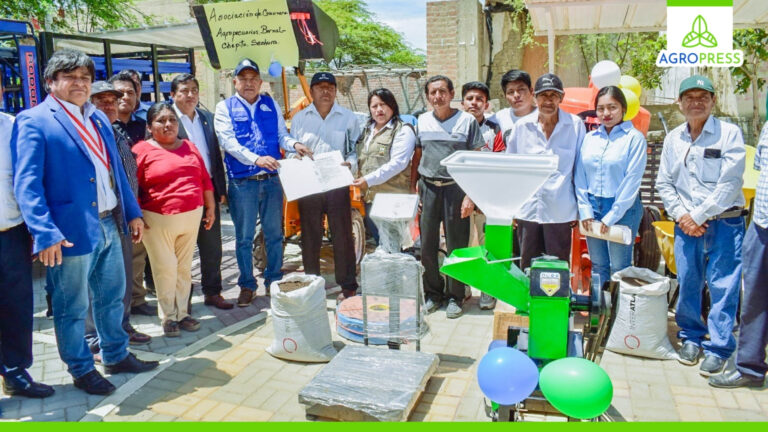 Piura: Asociación de Bernal optimiza la producción de fosfocompost con apoyo regional