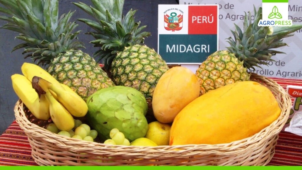 Promueven consumo de frutas frescas para una alimentación saludable este verano