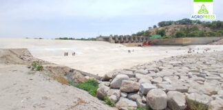 Piura: reparan Presa Derivadora Sullana para fortalecer el riego en el Bajo Chira Piura: reparan Presa Derivadora Sullana para fortalecer el riego en el Bajo Chira