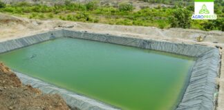 Piura: implementarán 71 reservorios para fortalecer la agricultura en Sechura Piura: implementarán 71 reservorios para fortalecer la agricultura en Sechura