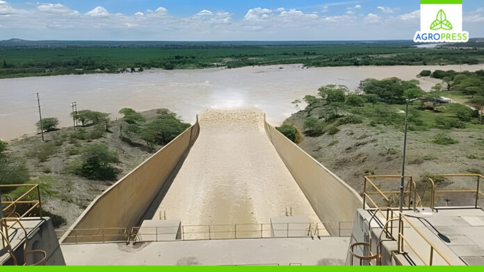 Lluvias aumentan volumen de reservorios y renuevan esperanza para el agro piurano