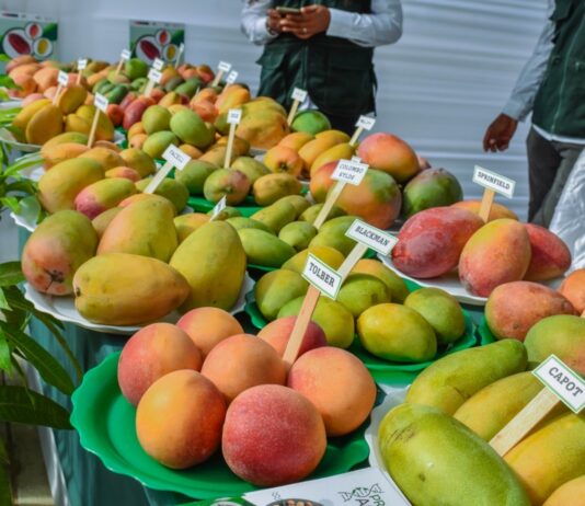 Piura: Gobierno coordina acciones ante la crisis de la producción de mango Piura: Gobierno coordina acciones ante la crisis de la producción de mango