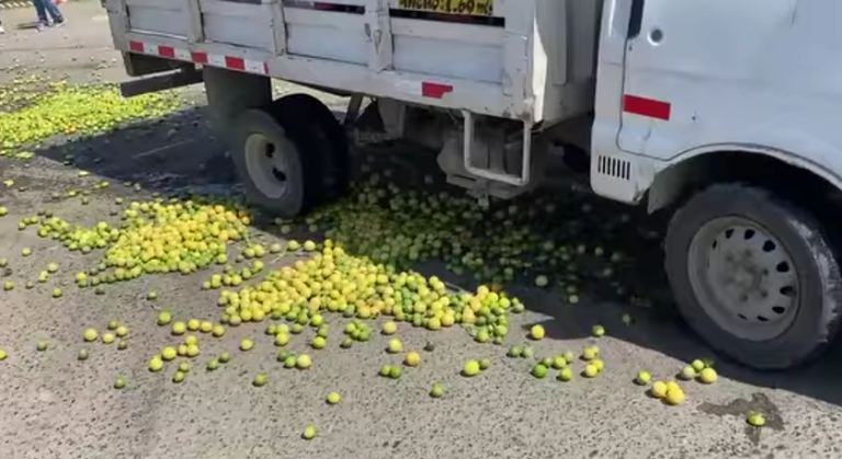 Productores de limón de Piura protestan contra bajos precios y falta de apoyo estatal