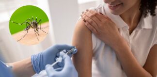 Piura lidera el plan piloto de vacunación contra el dengue buscando proteger a más de 106,000 menores Piura lidera el plan piloto de vacunación contra el dengue buscando proteger a más de 106,000 menores