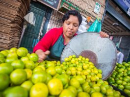 Agroexportaciones peruanas crecieron un 22.7% y alcanzaron los US$ 11,349 millones entre enero y noviembre de 2024 Agroexportaciones peruanas crecieron un 22.7% y alcanzaron los US$ 11,349 millones entre enero y noviembre de 2024