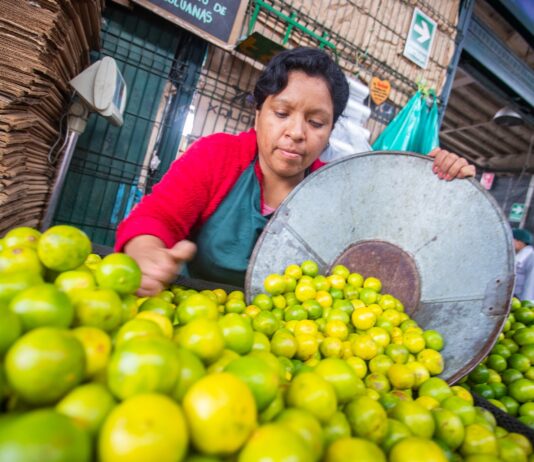 Agroexportaciones peruanas crecieron un 22.7% y alcanzaron los US$ 11,349 millones entre enero y noviembre de 2024 Agroexportaciones peruanas crecieron un 22.7% y alcanzaron los US$ 11,349 millones entre enero y noviembre de 2024