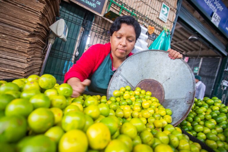 Agroexportaciones peruanas crecieron un 22.7% y alcanzaron los US$ 11,349 millones entre enero y noviembre de 2024