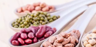 Frijol peruano conquistó mercado surcoreano en 2024 Frijol peruano conquistó mercado surcoreano en 2024