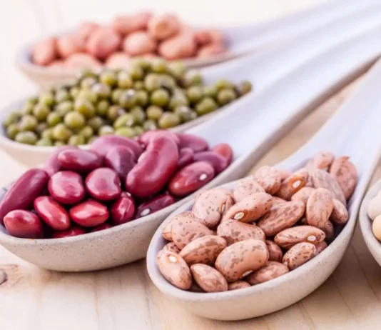 Frijol peruano conquistó mercado surcoreano en 2024 Frijol peruano conquistó mercado surcoreano en 2024