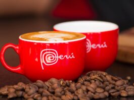 Exportaciones de café peruano alcanzaron cifras históricas en 2024 Exportaciones de café peruano alcanzaron cifras históricas en 2024