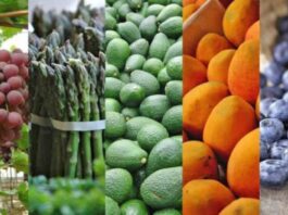 En 2025 las agroexportaciones crecerían un 5% pese a desafíos climáticos En 2025 las agroexportaciones crecerían un 5% pese a desafíos climáticos