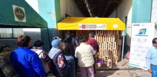 Agromercado: Mango lambayecano se agotó en 3 horas en Huancayo Agromercado: Mango lambayecano se agotó en 3 horas en Huancayo