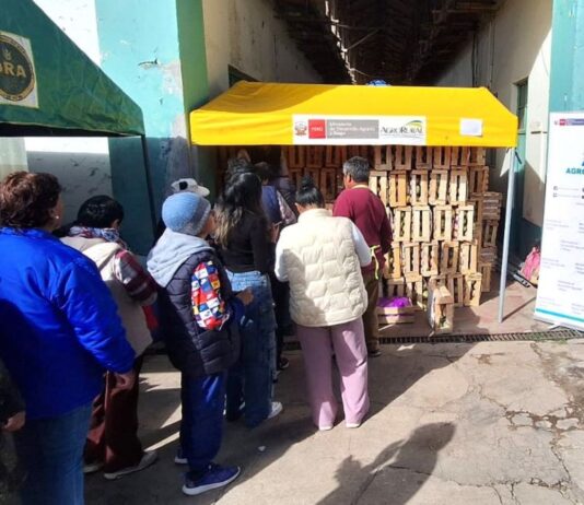 Agromercado: Mango lambayecano se agotó en 3 horas en Huancayo Agromercado: Mango lambayecano se agotó en 3 horas en Huancayo