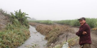 ANA establece elecciones para renovar Consejos Directivos de Juntas de Usuarios ANA establece elecciones para renovar Consejos Directivos de Juntas de Usuarios