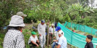 Piura: capacitan a productores de café en Canchaque para optimizar sus cultivos Piura: capacitan a productores de café en Canchaque para mejorar rendimiento de sus cultivos