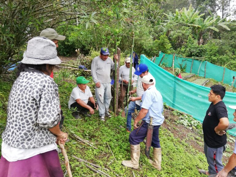 Piura: capacitan a productores de café en Canchaque para mejorar rendimiento de sus cultivos