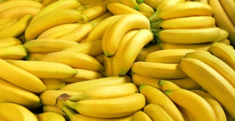 El banano peruano brilla en el mercado internacional: crecimiento histórico en 2024