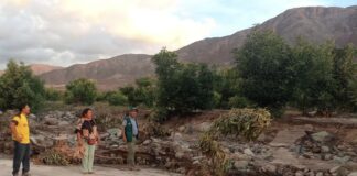 MIDAGRI indemniza más de S/ 8 millones a productores afectados en la campaña agrícola 2024-2025 MIDAGRI indemniza más de S/ 8 millones a productores afectados en la campaña agrícola 2024-2025