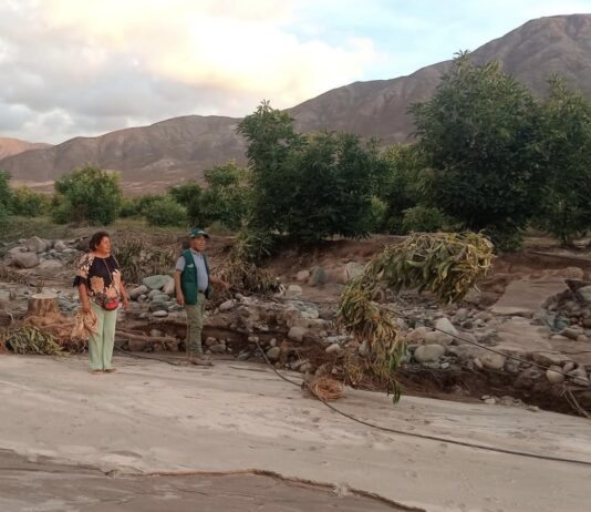 MIDAGRI indemniza más de S/ 8 millones a productores afectados en la campaña agrícola 2024-2025 MIDAGRI indemniza más de S/ 8 millones a productores afectados en la campaña agrícola 2024-2025