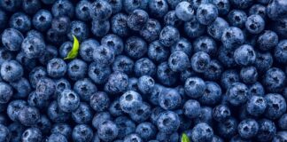 Arándanos peruanos enfrentan el desafío de sostener sus precios en un mercado con creciente oferta Arándanos peruanos enfrentan el desafío de sostener sus precios en un mercado con creciente oferta