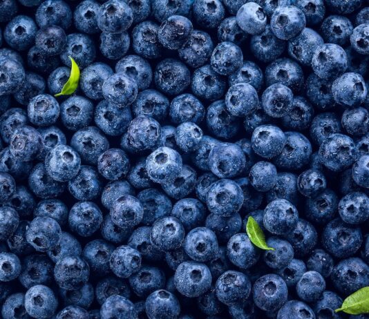 Arándanos peruanos enfrentan el desafío de sostener sus precios en un mercado con creciente oferta Arándanos peruanos enfrentan el desafío de sostener sus precios en un mercado con creciente oferta