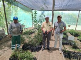 Piura: Gobierno entrega plantones para reforzar espacios verdes en Cura Mori y La Unión Piura: Gobierno entrega plantones para reforzar espacios verdes en Cura Mori y La Unión