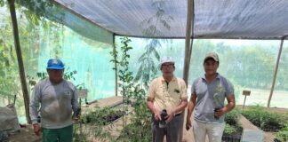 Piura: Gobierno entrega plantones para reforzar espacios verdes en Cura Mori y La Unión Piura: Gobierno entrega plantones para reforzar espacios verdes en Cura Mori y La Unión