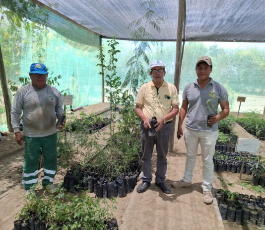Piura: Gobierno entrega plantones para reforzar espacios verdes en Cura Mori y La Unión Piura: Gobierno entrega plantones para reforzar espacios verdes en Cura Mori y La Unión