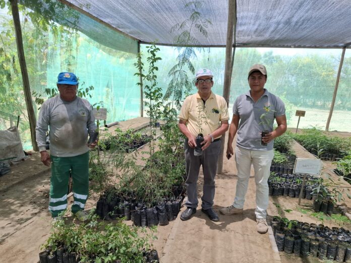 Piura: Gobierno entrega plantones para reforzar espacios verdes en Cura Mori y La Unión