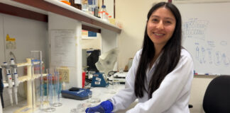 Contra la sequía: jóvenes peruanos crean ‘esponjas mágicas’ para el riego eficiente Contra la sequía: jóvenes peruanos crean ‘esponjas mágicas’ para el riego eficiente