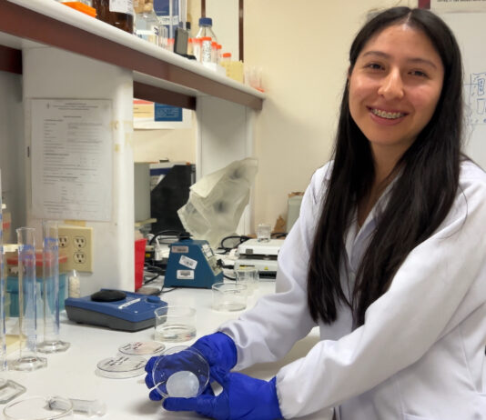 Contra la sequía: jóvenes peruanos crean ‘esponjas mágicas’ para el riego eficiente Contra la sequía: jóvenes peruanos crean ‘esponjas mágicas’ para el riego eficiente