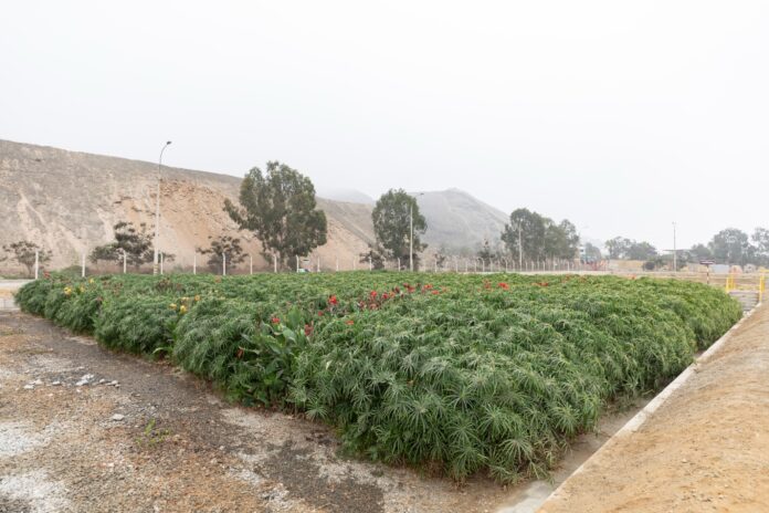 Ministerio de Vivienda publica catálogo de plantas eficientes para el tratamiento de aguas residuales