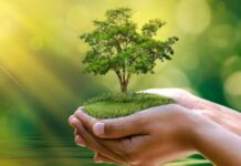 Perú lanza Hoja de Ruta de Finanzas Verdes para movilizar US$ 5 800 millones al 2030 Perú lanza Hoja de Ruta de Finanzas Verdes para movilizar US$ 5 800 millones al 2030