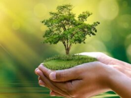 Perú lanza Hoja de Ruta de Finanzas Verdes para movilizar US$ 5 800 millones al 2030 Perú lanza Hoja de Ruta de Finanzas Verdes para movilizar US$ 5 800 millones al 2030