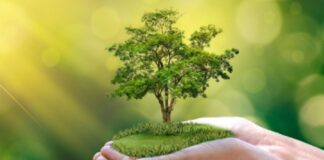 Día Mundial de la Madre Tierra 2025: Nuestro poder, nuestro planeta Perú lanza Hoja de Ruta de Finanzas Verdes para movilizar US$ 5 800 millones al 2030