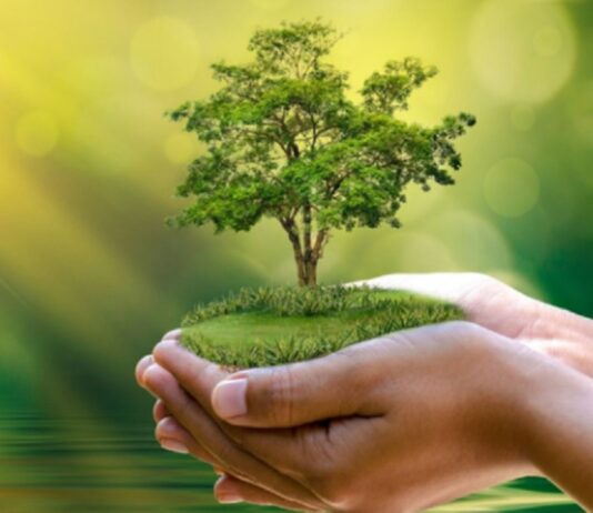 Perú lanza Hoja de Ruta de Finanzas Verdes para movilizar US$ 5 800 millones al 2030 Perú lanza Hoja de Ruta de Finanzas Verdes para movilizar US$ 5 800 millones al 2030