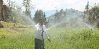 Crean grupo multisectorial para impulsar el desarrollo sostenible de las cadenas de café, cacao y palma aceitera Crean grupo multisectorial para impulsar el desarrollo sostenible de las cadenas de café, cacao y palma aceitera